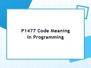 P1477 Code Meaning in Programming